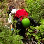 on Mauri e Miki Ferrata Burrone Giovanelli